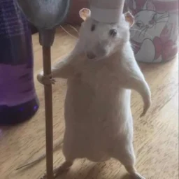digidik